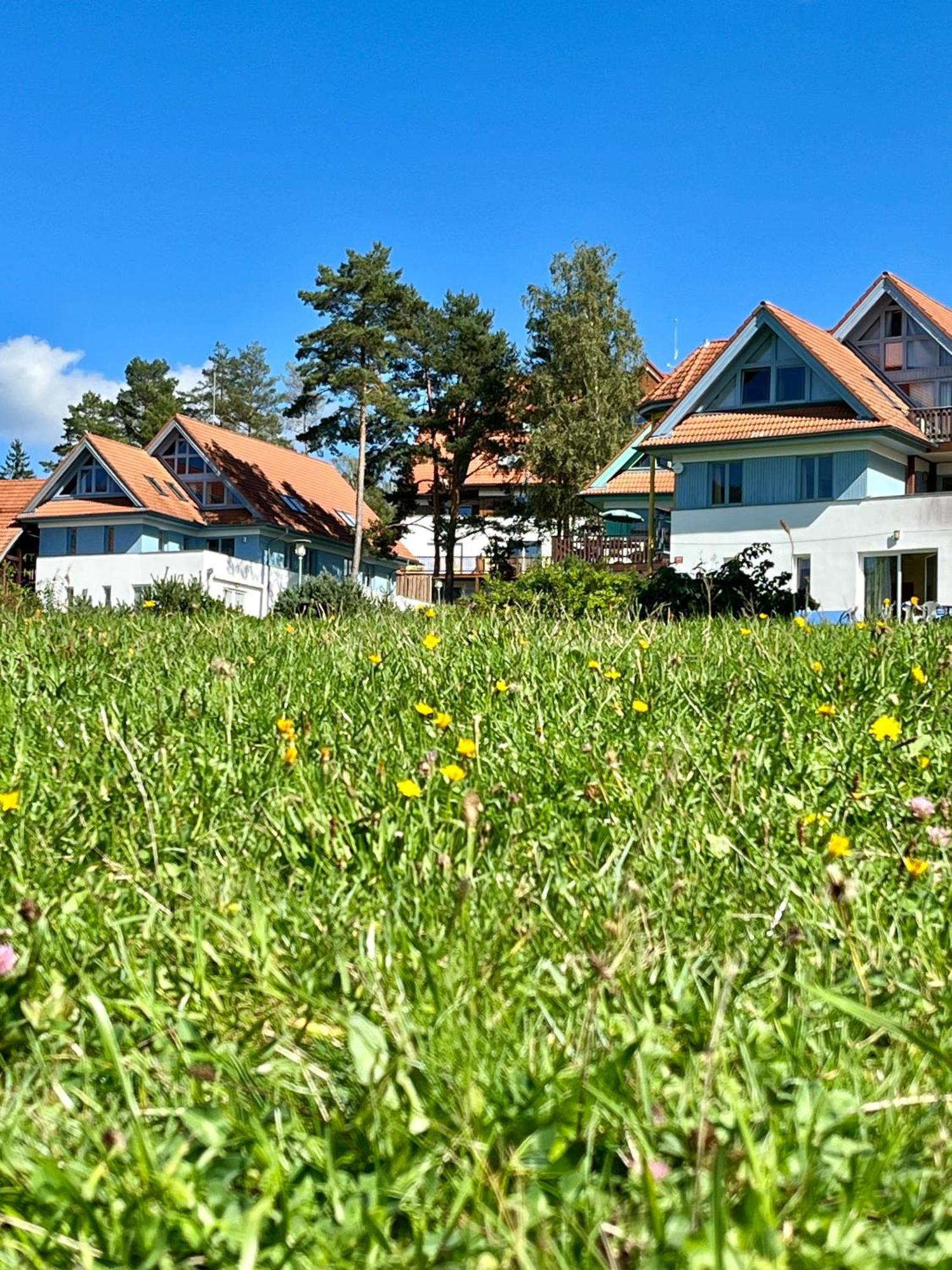 Lipno Beach Apartment Lipno nad Vltavou Esterno foto